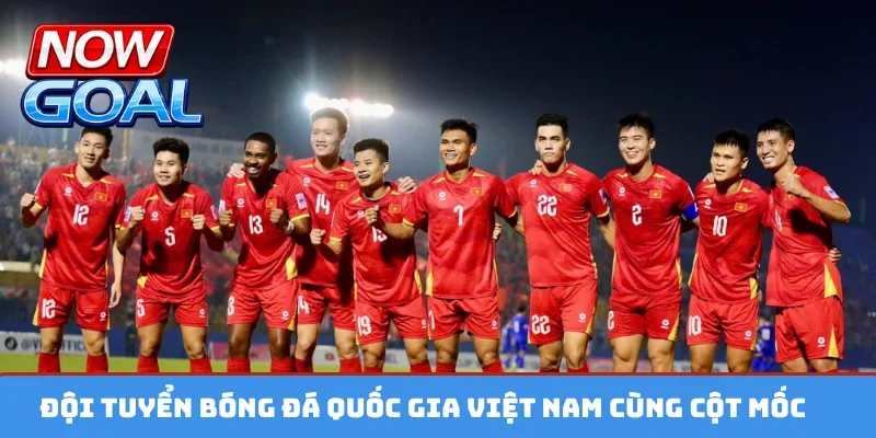 Đội tuyển bóng đá quốc gia Việt Nam