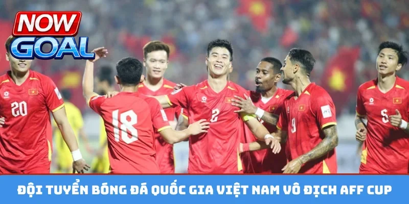 Đội tuyển bóng đá quốc gia Việt Nam vô địch AFF Cup
