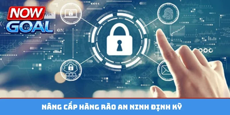 Nâng cấp hàng rào an ninh định kỳ