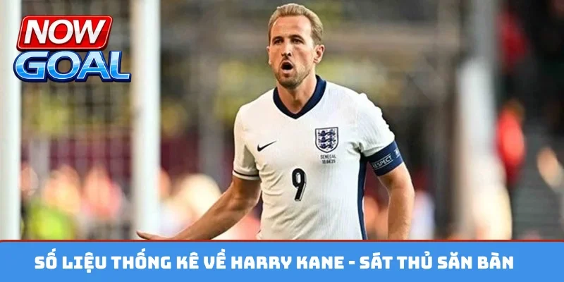 Số liệu thống kê về Harry Kane